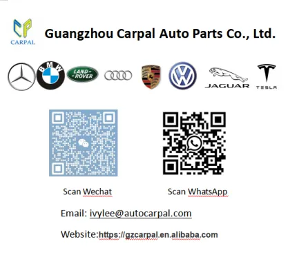 Carpal Factory Sale Air Suspension Compressor Pump for Ford Expedition/Eddie Bauer/Lincoln Navigator 1L1Z5319AA 1L1Z5319BA