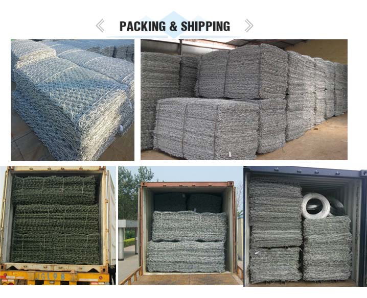 Gabion mesh