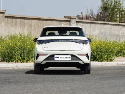 2025 BYD Dolphin Small Pure Electric Hatchback