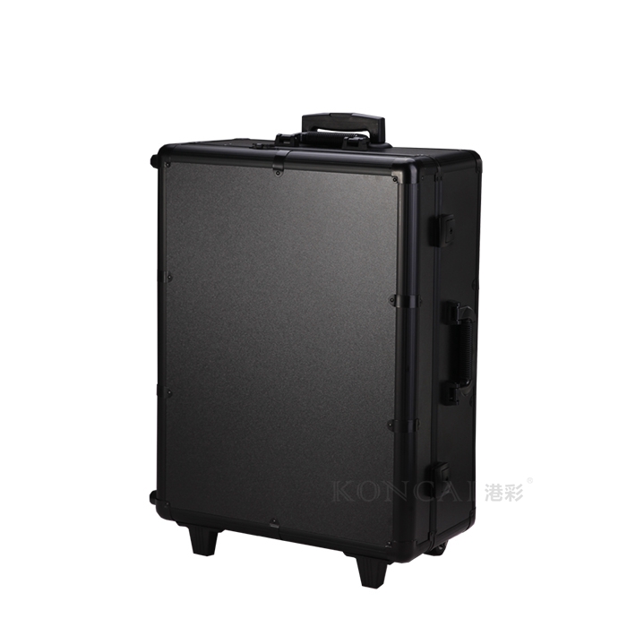 makeup train case with light