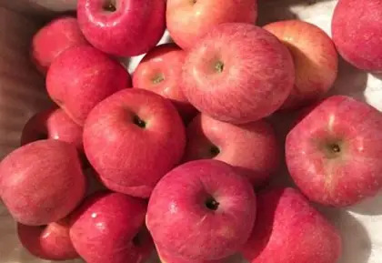 dark red apples for all ove the world