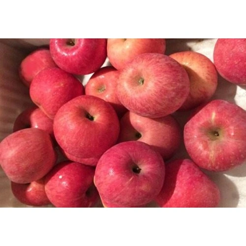 Chinese Top Quality Fuji Apples China Manufacturer