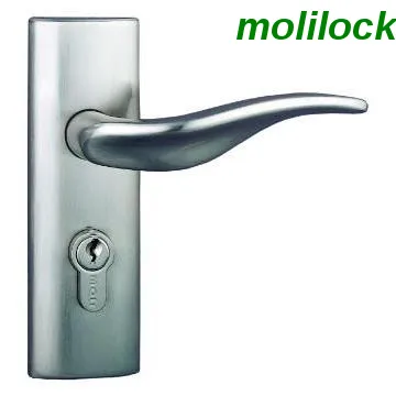 Door Locks for Room Door and Bathroom Door, Hotel Locks