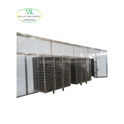 Customizing Industrial Tray Drying for Mushroom/Tremella Tunnel Dryers