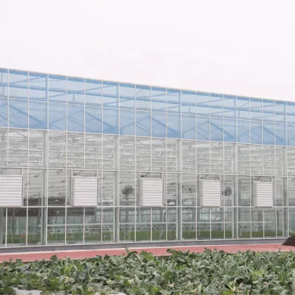 Fully Automatic Smart Greenhouse: MYXL Commercial Agriculture Glass Greenhouse