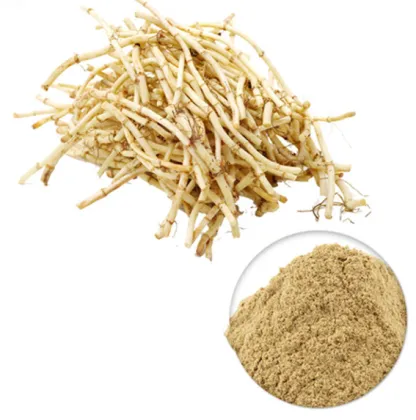 Nature Product houttuynia cordata extract