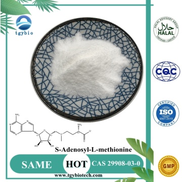 Bekalan 99% s-adenosyl-l-methionine serbuk yang sama