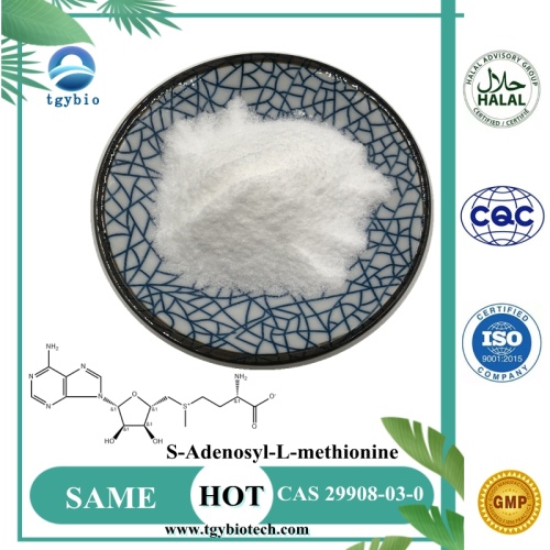 Lieferung 99% S-Adenosyl-L-Methionineler Pulver