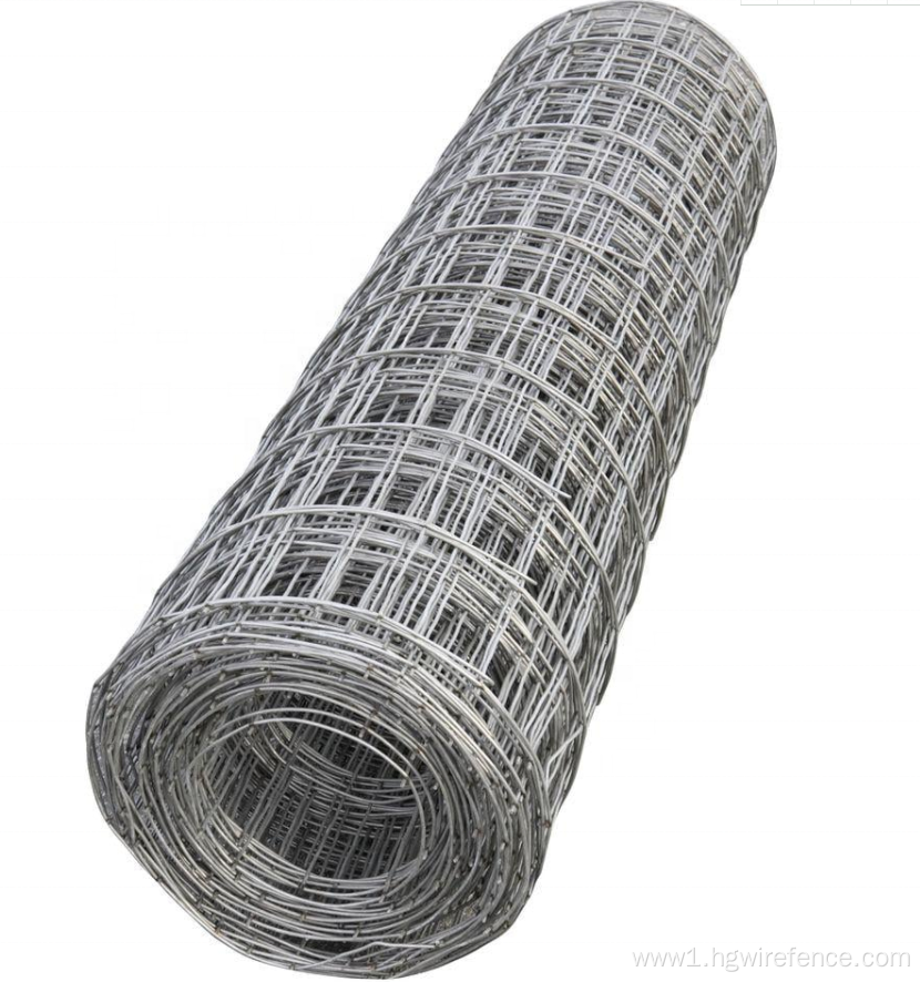 Powder Coated Galvanized Welded Wire Mesh