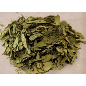 Natural Folium Isatidis Extract Indigowoad Leaf Extract 10: 1
