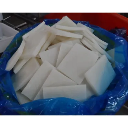 Frozen Squid Fillet Giant Squid Meat Indian Ocean Squid Fillet