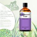 Aceite esencial de violeta orgánico 100% puro para anti -inflamación, cuerpo, piel