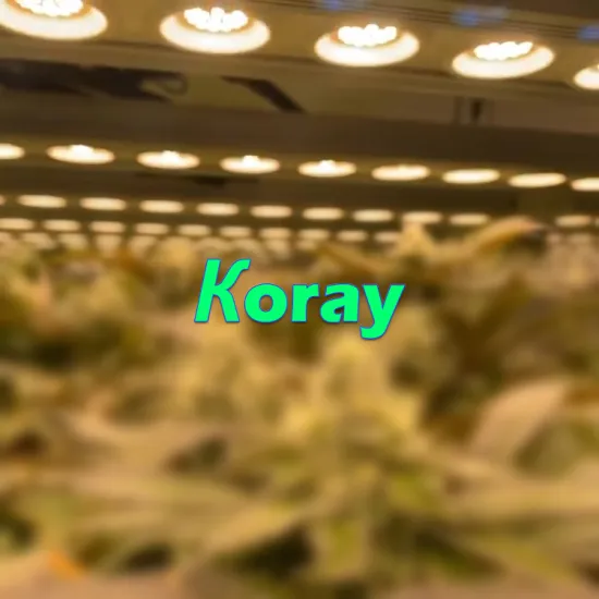 Vertical Medicinal Plant Cultivation: High Uniformity LED Grow Light Shelves with Full Spectrum