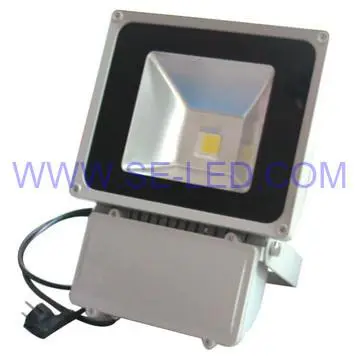 80watt RGB 240V LED floodlight with CE RoHS FCC