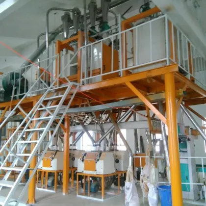 Wheat Flour Mill Machinery: 30T Wheat Flour Plant