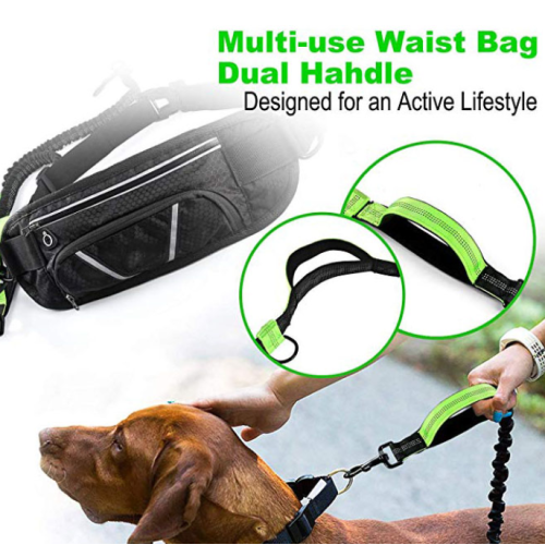 Bungee Tangan Percuma Dog Leash