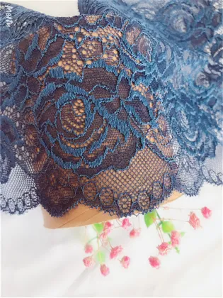 Sexy Nylon Spandex Underwear Luxurious French Lace Trim