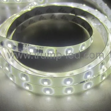 36V 3528 flexible strip 60leds/M