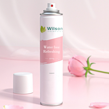 맞춤형 150ml-200ml 안티 맨드럽 헤어 파우더 및 드라이 샴푸 스프레이