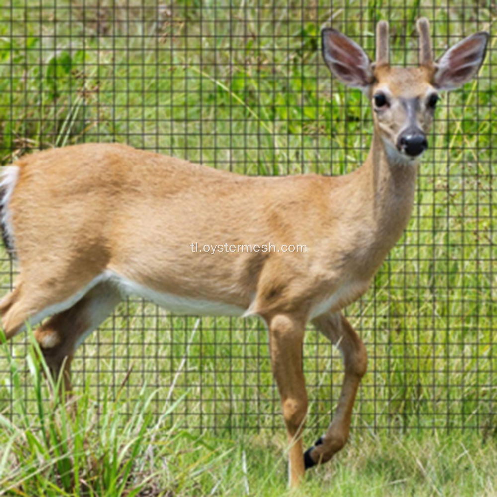 Plastik na mesh tree protection deer bakod netting