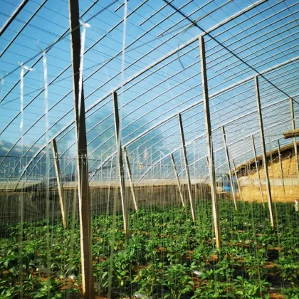 Greenhouse Plastic UV Agricultural Duratough Greenhouse Film