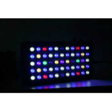 100w Aquarium Led Light Keep in Stock Shenzhen