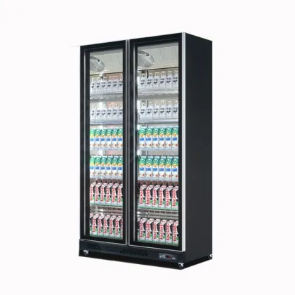 Double Door Bar Chiller Refrigerator: Sub Zero Beer Fridge & Commercial Freezer Showcase