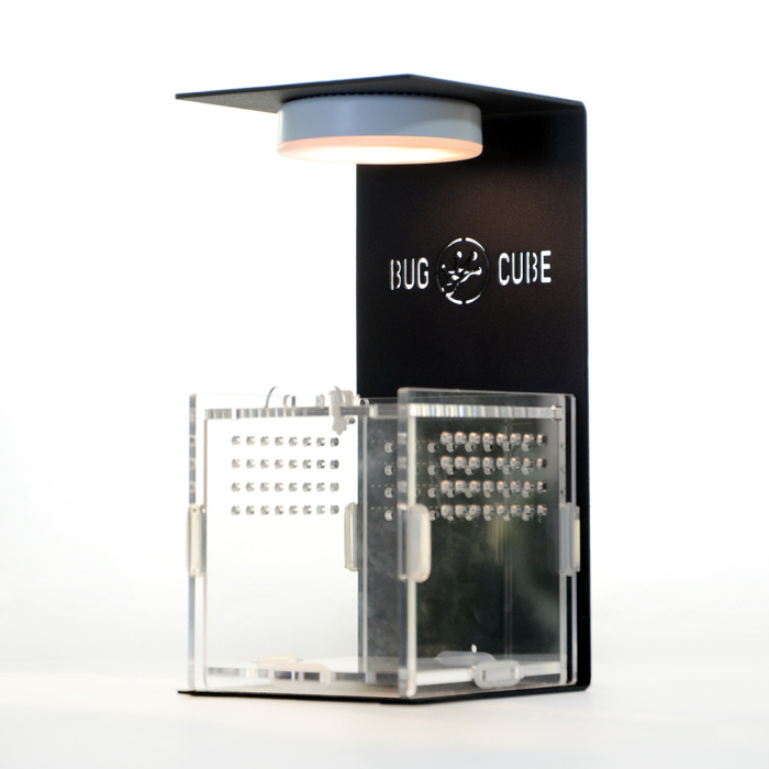 Caixa de criação de acrílico de alta transmissão de tamanho personalizável