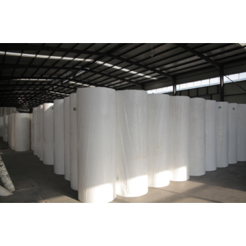 Spunbond Polypropylene Nonwoven Fabric for Plant Cover