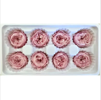 Chinese Preserved Peony Flowers