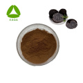 Top Quality Wild Black Truffle Extract Powder Polysaccharide