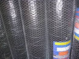 Hexagonal Chicken Quality Wire