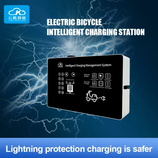 User-Friendly Multi-Channel (10) E Bike Charging Station