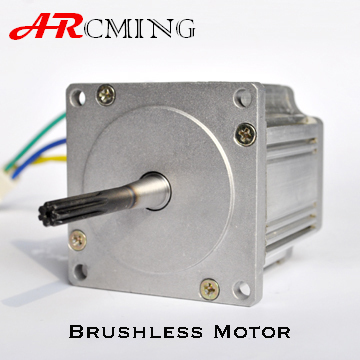 300w Brushless DC Motor