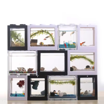 Ecological DIY Small Acrylic Fish Tank for Desktop or Coffee Table