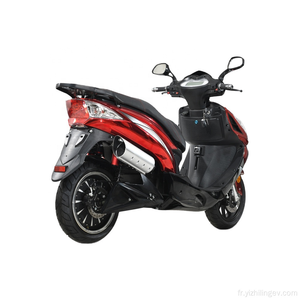 Transporter personnel 1000W 2000W 3000W CityCoco Electric Scooter