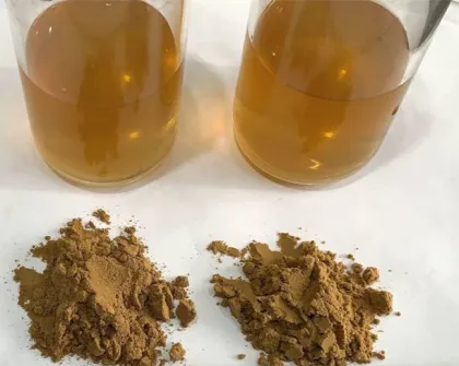 Hot Sale hemp seed extract hemp seed powder