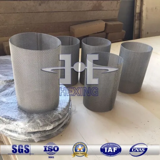 SS304 Stainless Steel Filter Wire Mesh/Filter Disc
