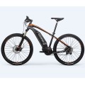 Customized 48 V Electric Dirt Bike