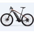 EU Warehouse Electric Bike Company