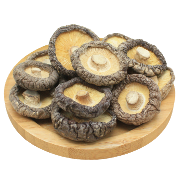 High Quality Shiitake Mushrooms Are Inexpensive