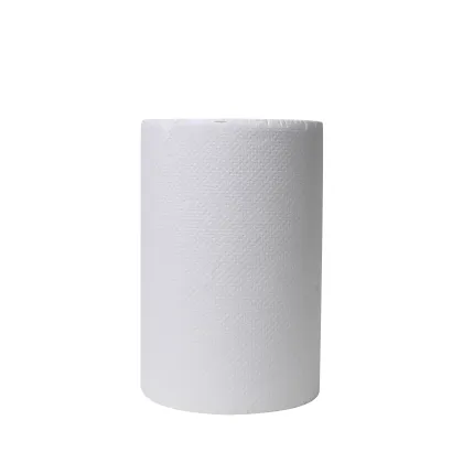 Brawny Paper Towels and Dispensers for Business