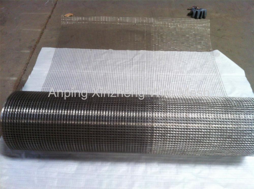 SS Welded Wire Mesh