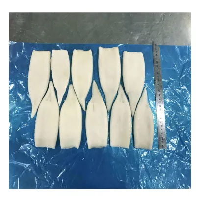 High Quality Japanese Squid Tub High Quality Cleaned Japanese Squid Tube High Quality Frozen Big Squid Tube