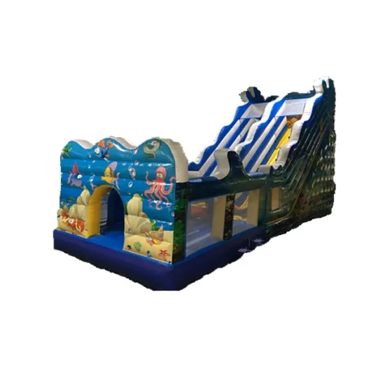 Customized Giant Inflatable Bouncer and Amusement Park Combo for Kids