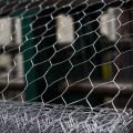 hexagonal dog wire mesh/pvc coated hexagonal wire mesh