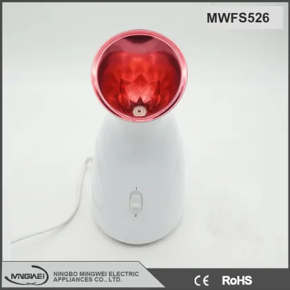 Beauty equipment China supplier household Nano facial steamer