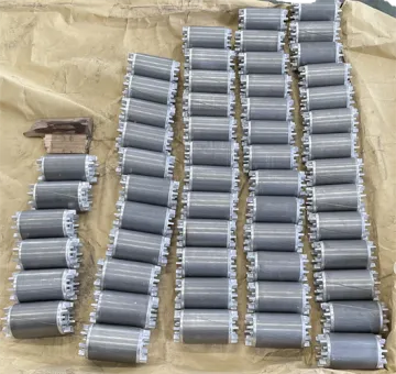 Progressing Punching Premanent Magenet Rotor