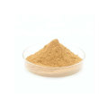 organic ginkgo biloba powder 100% pure