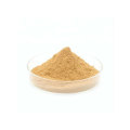 poudre de ginkgo biloba bio 100% pur